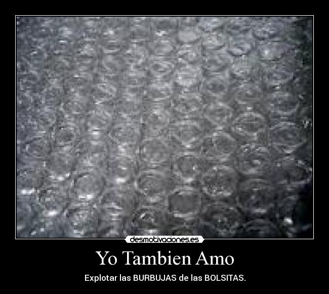 Yo Tambien Amo -