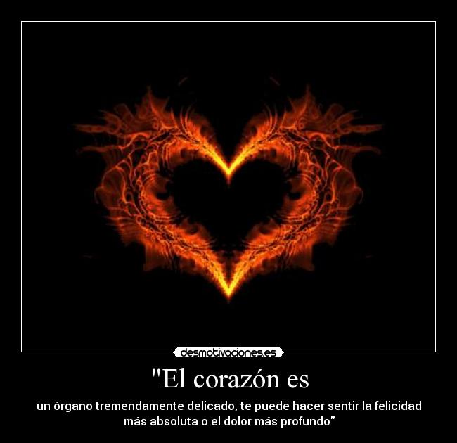 El corazón es - un órgano tremendamente delicado, te puede hacer sentir la felicidad
más absoluta o el dolor más profundo
