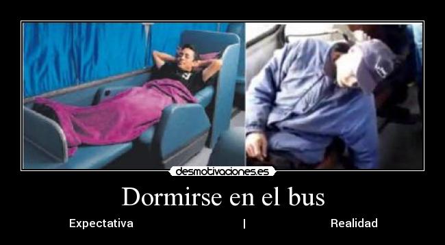 Dormirse en el bus - Expectativa                                        |                               Realidad
