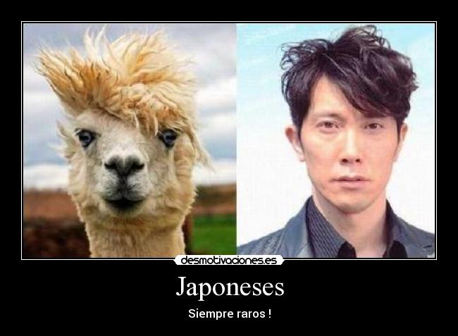 Japoneses - 