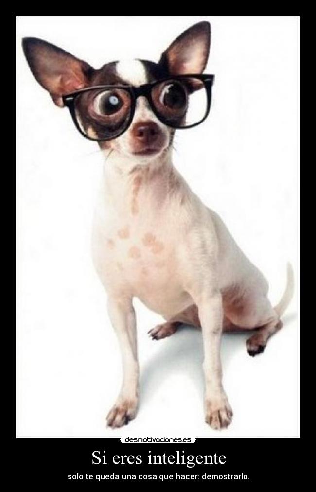 Si eres inteligente -