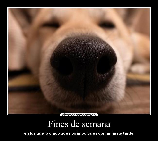 Fines de semana - 