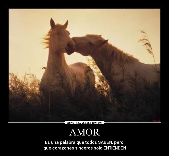 AMOR - Es una palabra que todos SABEN, pero
que corazones sinceros solo ENTIENDEN