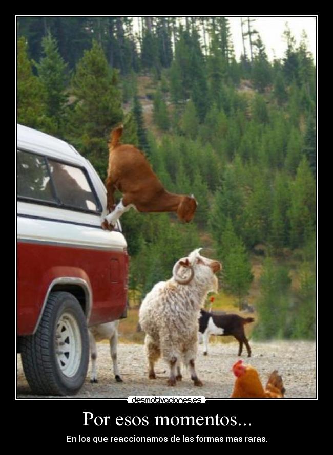 Por esos momentos... - En los que reaccionamos de las formas mas raras.
