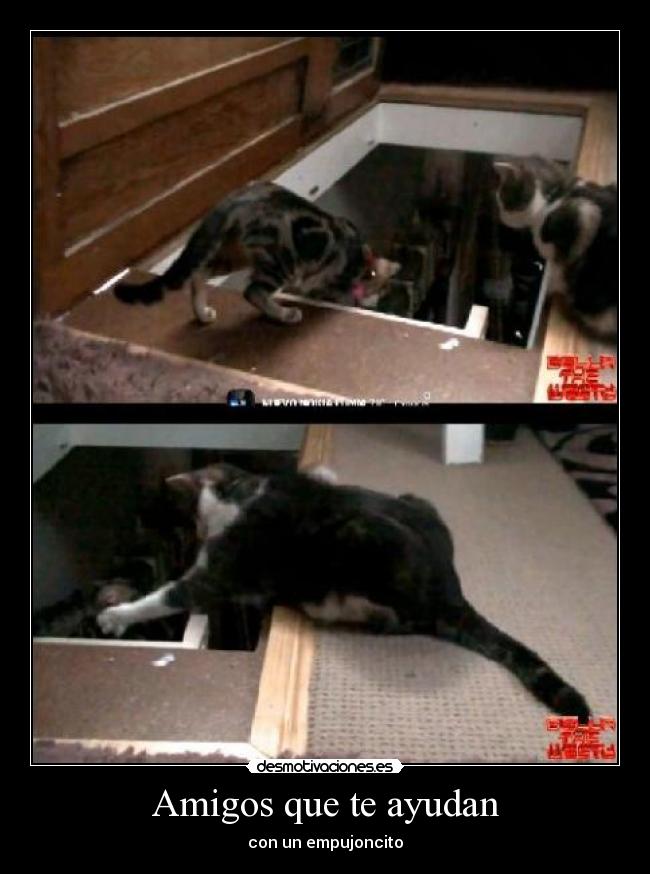 Amigos que te ayudan - con un empujoncito