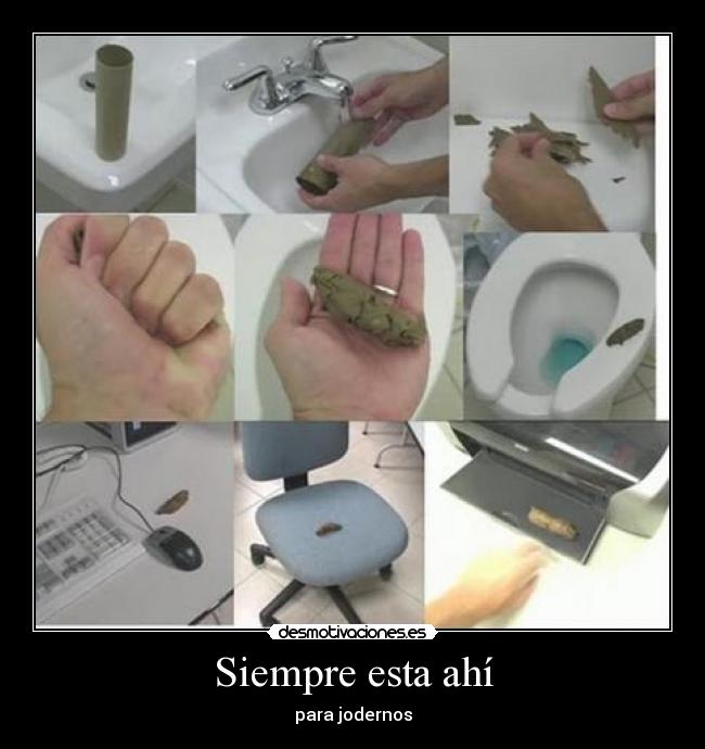 Siempre esta ahí - para jodernos