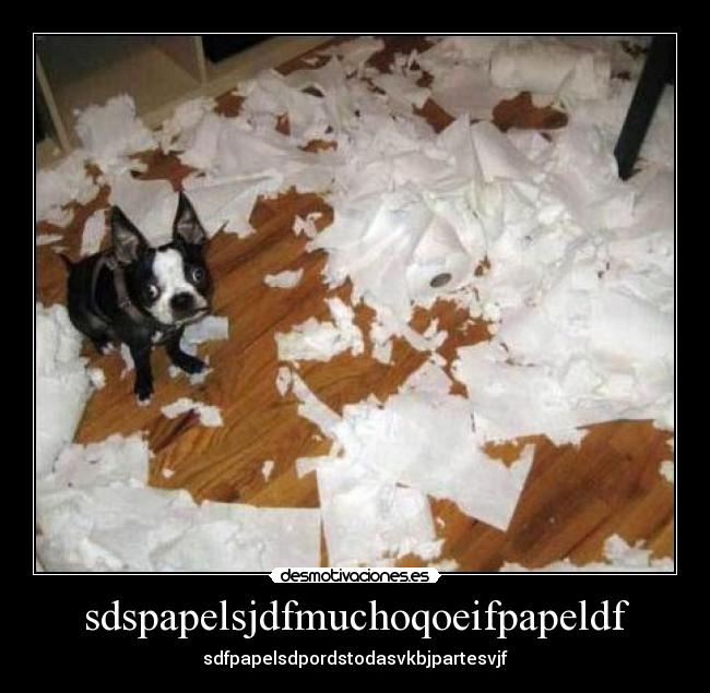 sdspapelsjdfmuchoqoeifpapeldf - sdfpapelsdpordstodasvkbjpartesvjf