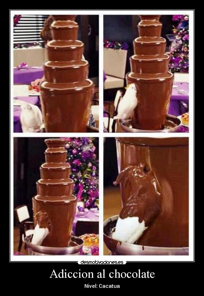 Adiccion al chocolate - 