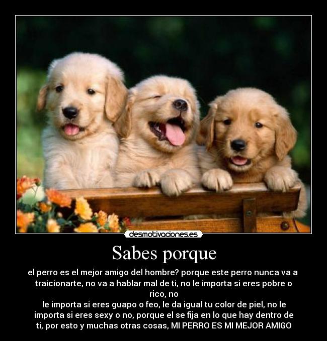 carteles camii0412 desmotivaciones