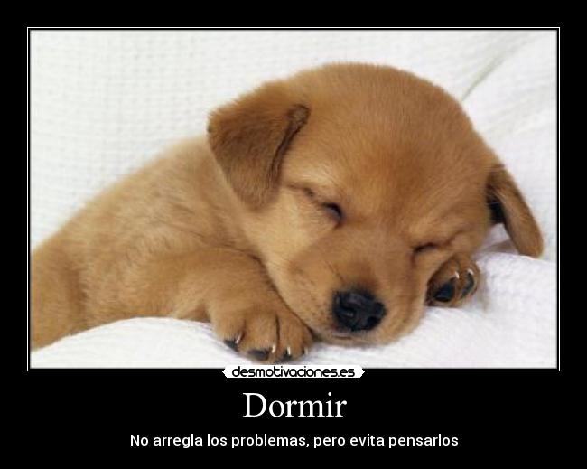 Dormir - 