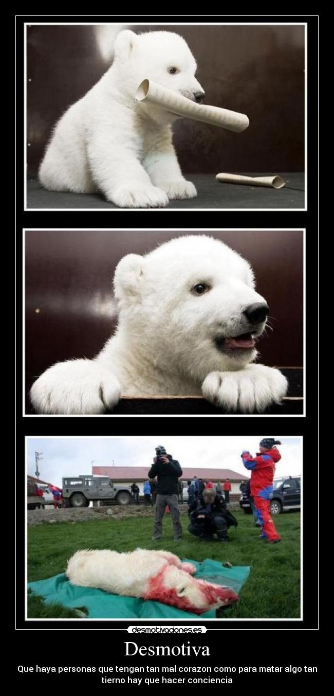 Desmotiva - Que haya personas que tengan tan mal corazon como para matar algo tan
tierno hay que hacer conciencia