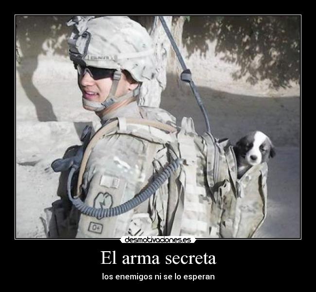 El arma secreta - los enemigos ni se lo esperan