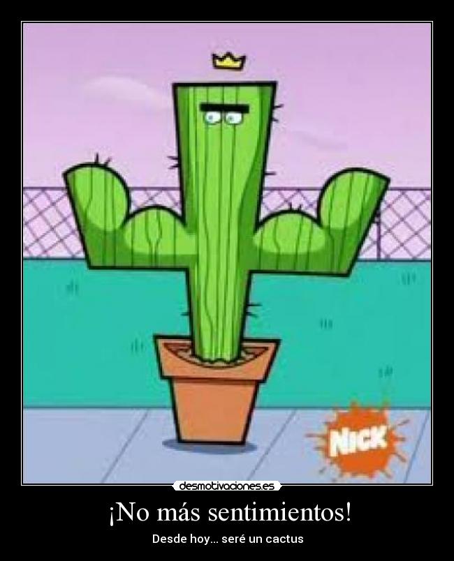 carteles sentimientos cactus sentimientos lospadrinosmagicos desmotivaciones