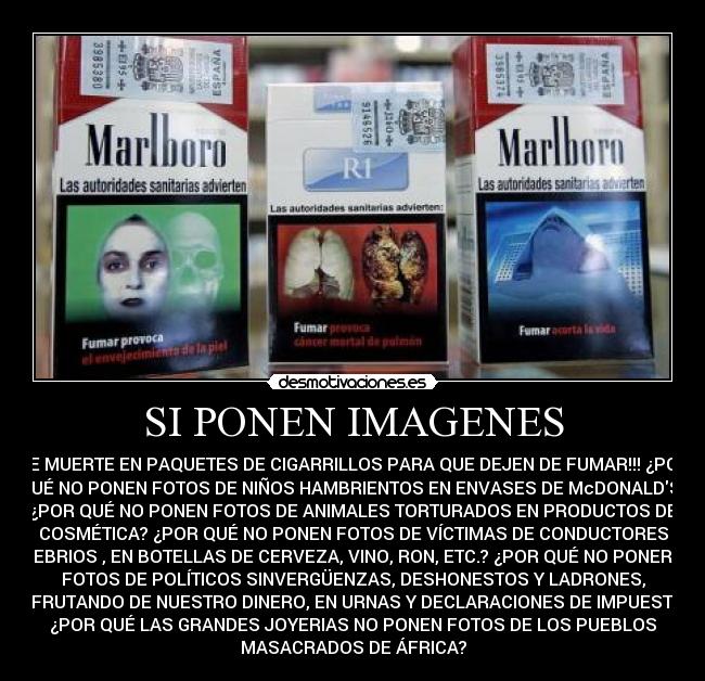 SI PONEN IMAGENES -