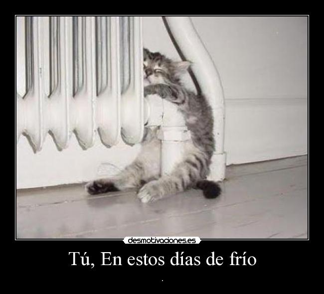 Tú, En estos días de frío - .