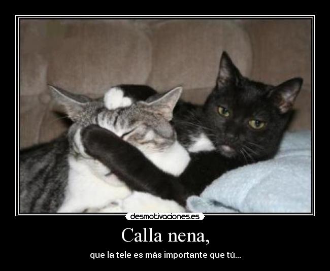 carteles profesorcaos mejorado molaxd shh calla desmotivaciones