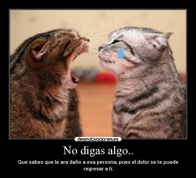 carteles digas algo desmotivaciones