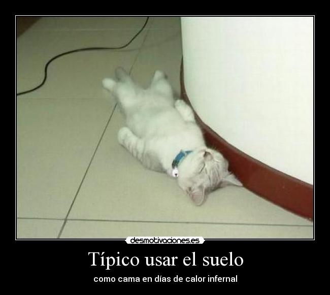 Típico usar el suelo -