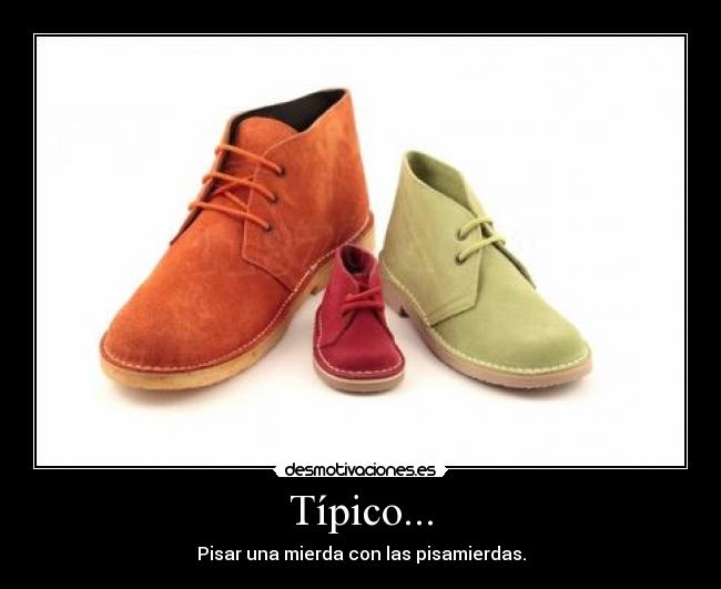 Típico... - Pisar una mierda con las pisamierdas.