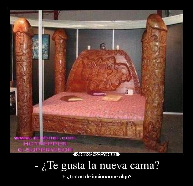 carteles nueva cama desmotivaciones