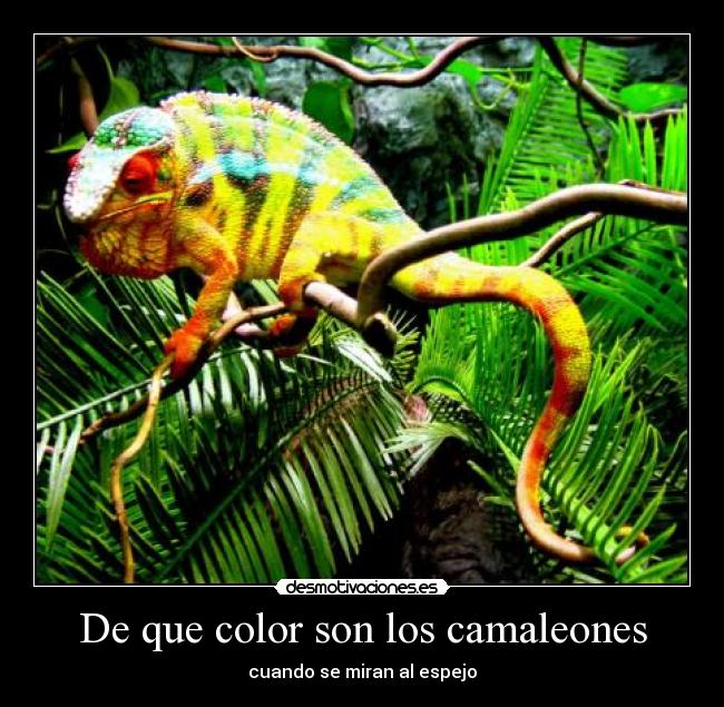 carteles  desmotivaciones