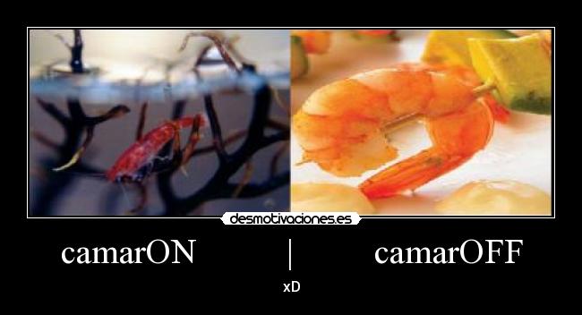 camarON | camarOFF - xD