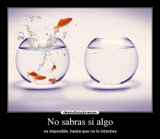 No sabras si algo -