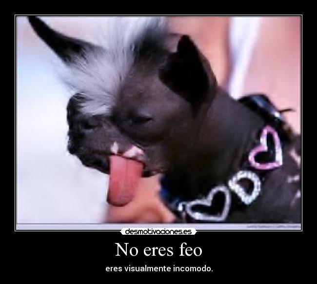 No eres feo - 