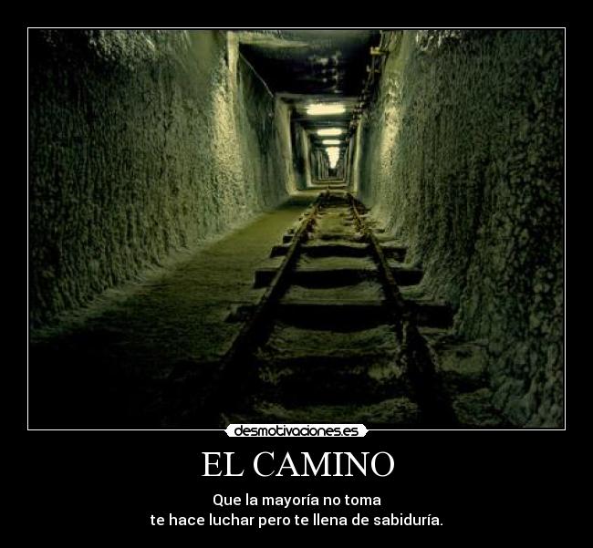 carteles neeb desmotivaciones