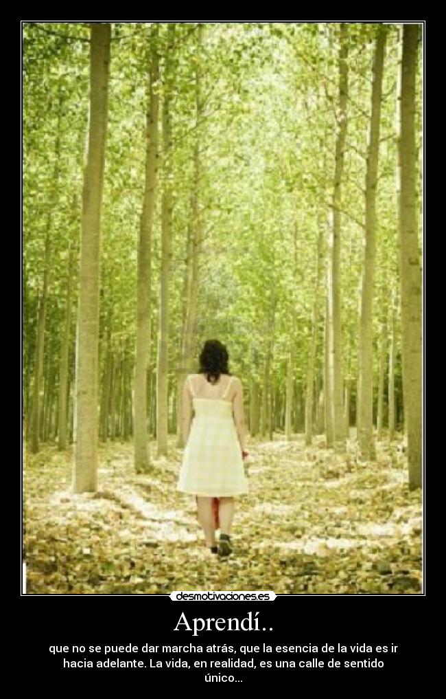 Aprendí.. - que no se puede dar marcha atrás, que la esencia de la vida es ir
hacia adelante. La vida, en realidad, es una calle de sentido
único...