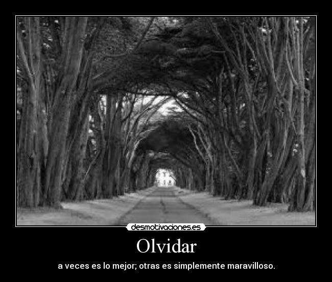 Olvidar - a veces es lo mejor; otras es simplemente maravilloso.