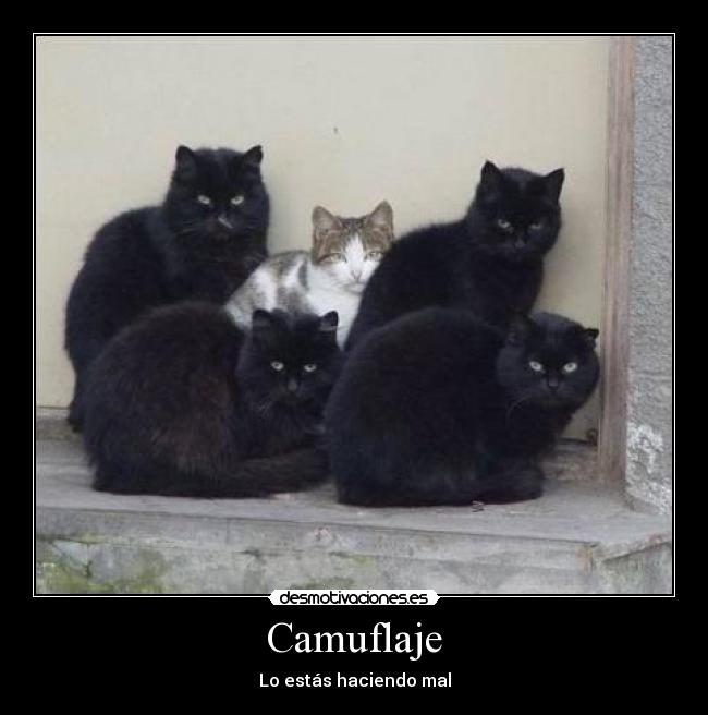 Camuflaje - Lo estás haciendo mal