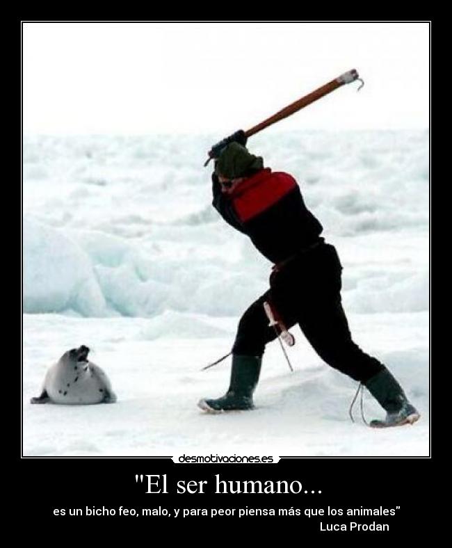 El ser humano... - 