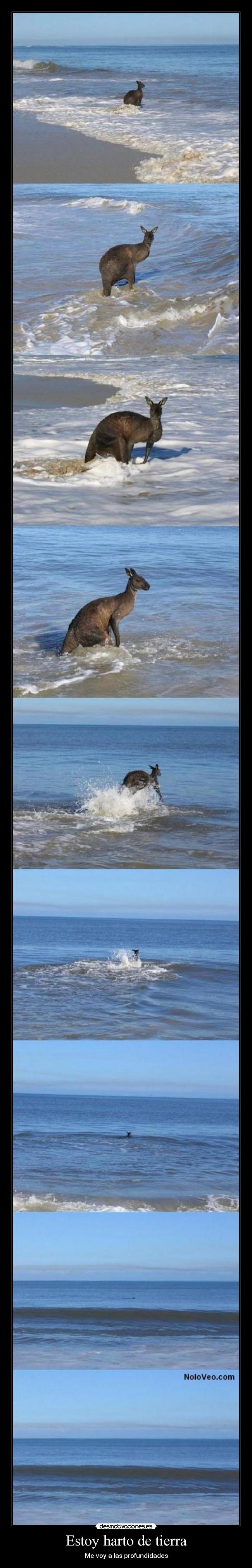 Estoy harto de tierra - Me voy a las profundidades