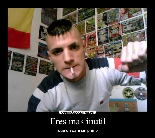 Eres mas inutil - que un cani sin primo