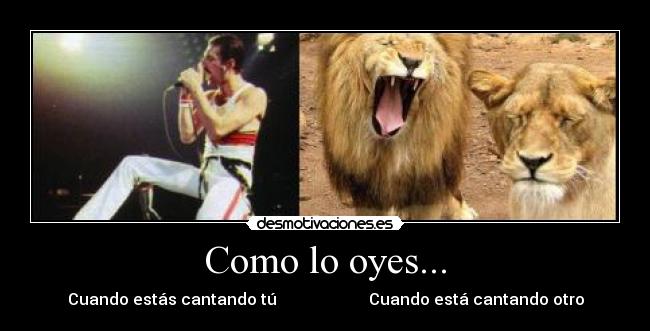 Como lo oyes... - Cuando estás cantando tú                       Cuando está cantando otro