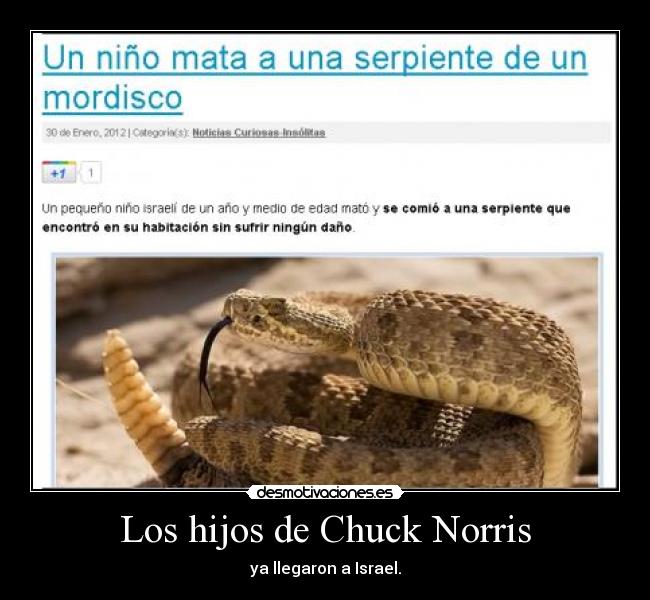 Los hijos de Chuck Norris - ya llegaron a Israel.