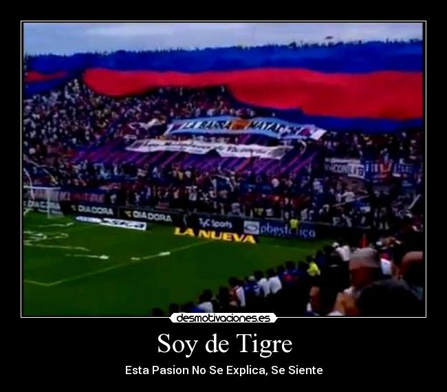 Soy de Tigre - 