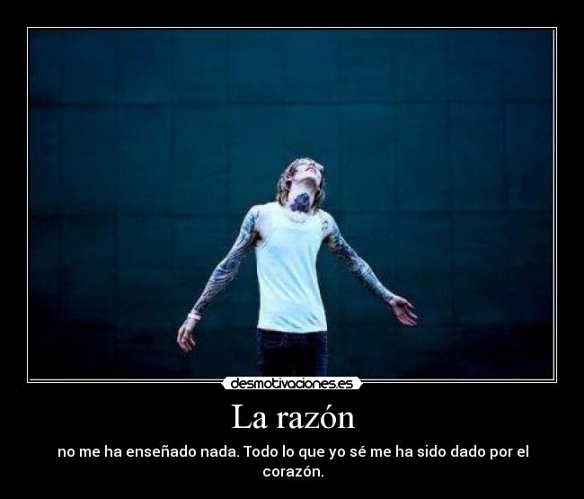 carteles raro celestial don que sepa sentir razonar mismo tiempo desmotivaciones