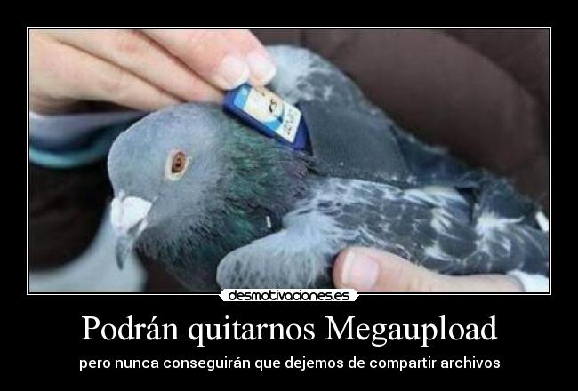 Podrán quitarnos Megaupload - pero nunca conseguirán que dejemos de compartir archivos