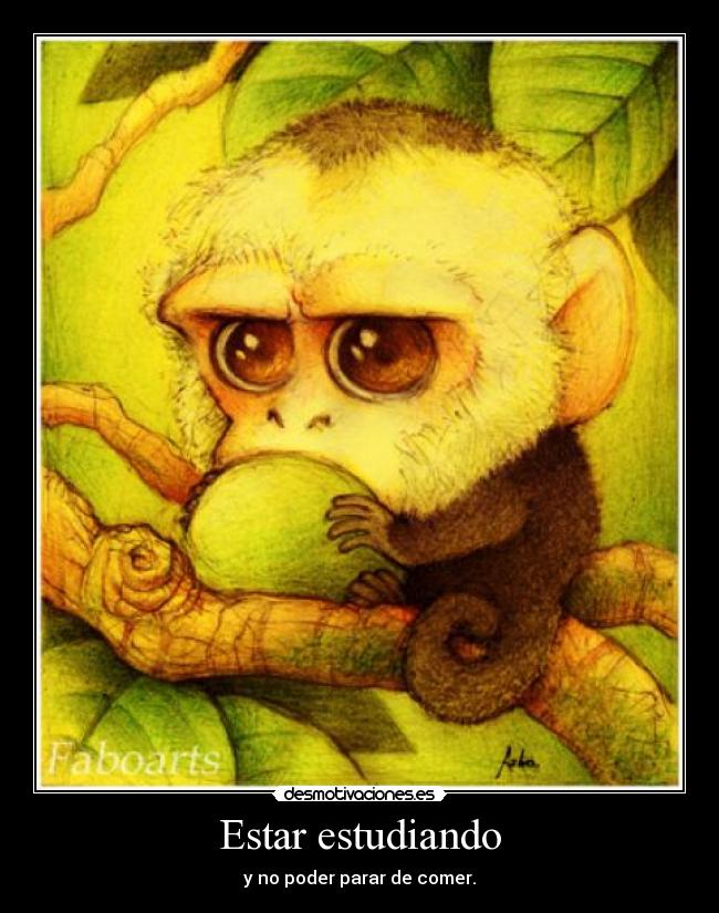 Estar estudiando - y no poder parar de comer.