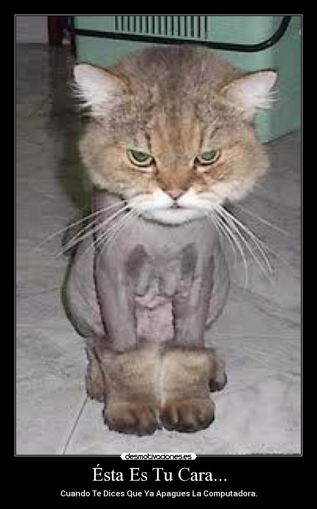 carteles esta cara cuando dices que apagues computadora desmotivaciones