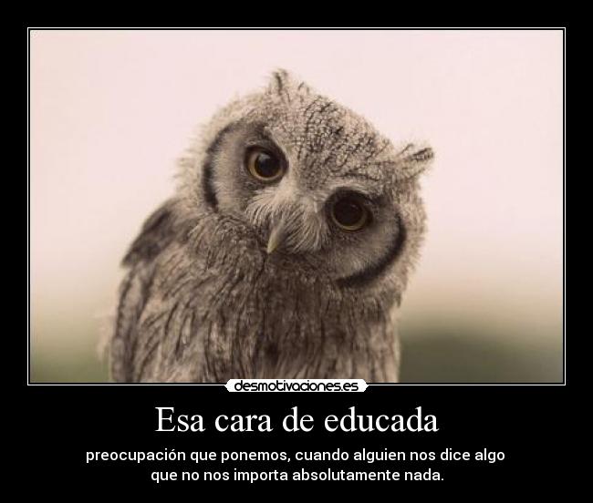 Esa cara de educada - preocupación que ponemos, cuando alguien nos dice algo
que no nos importa absolutamente nada.