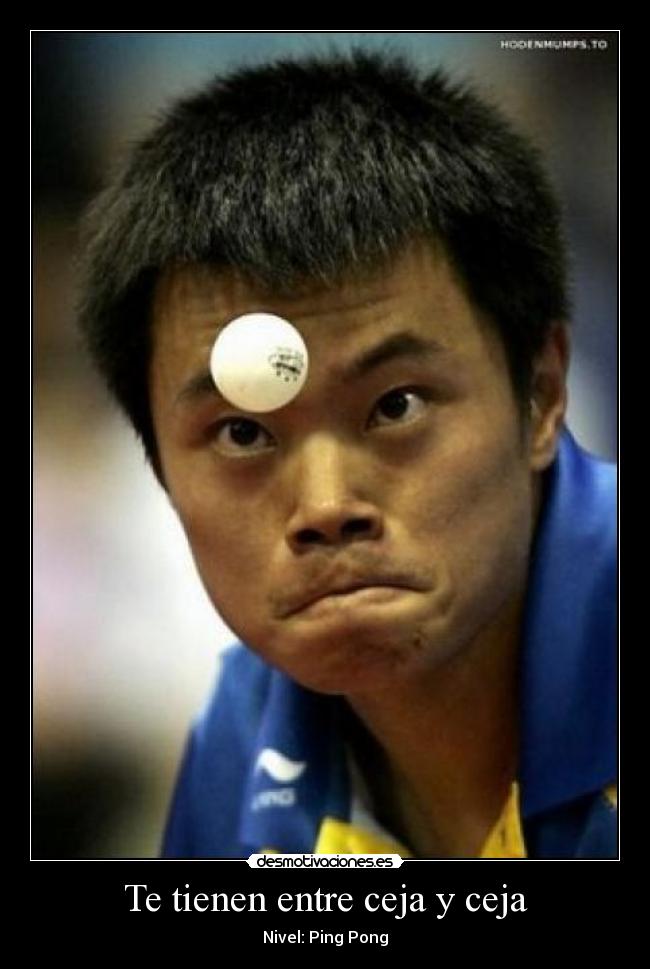 Te tienen entre ceja y ceja - 