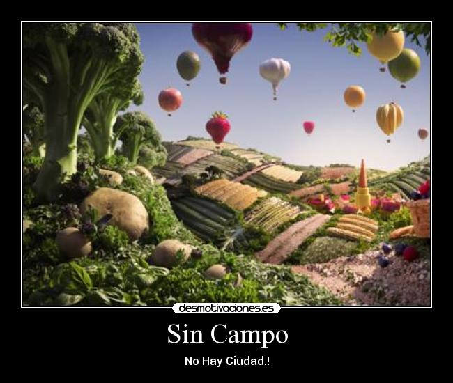 Sin Campo - 