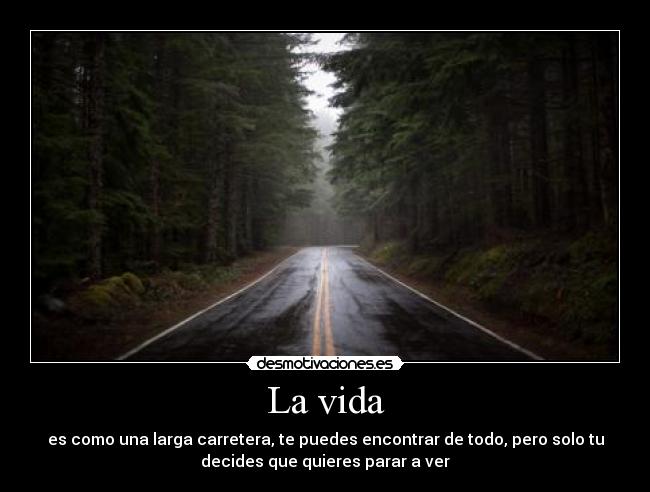 La vida - es como una larga carretera, te puedes encontrar de todo, pero solo tu
decides que quieres parar a ver