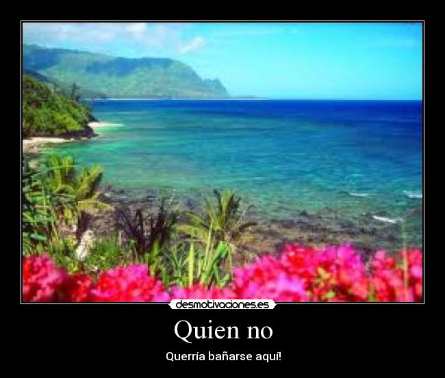 Quien no - 