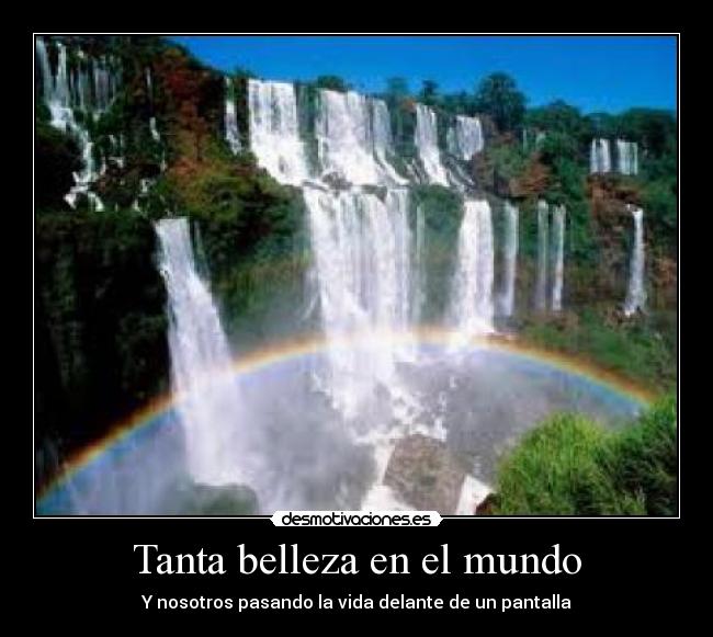 Tanta belleza en el mundo - Y nosotros pasando la vida delante de un pantalla