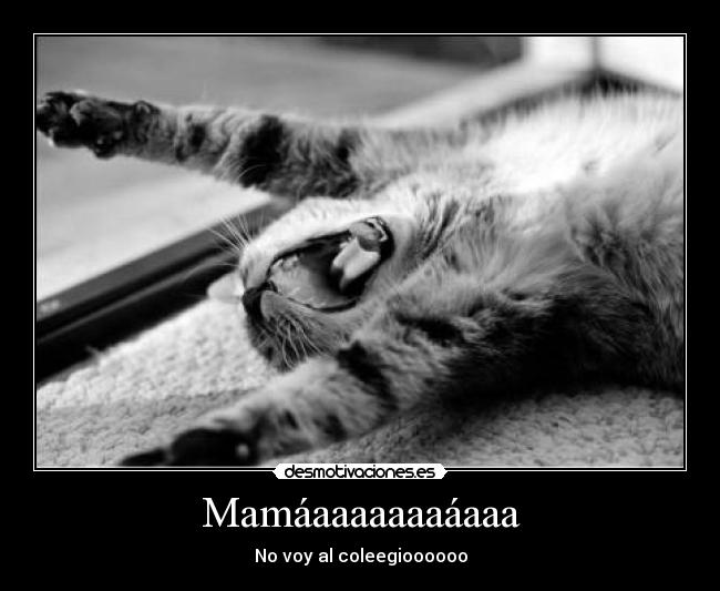 Mamáaaaaaaaáaaa - No voy al coleegioooooo