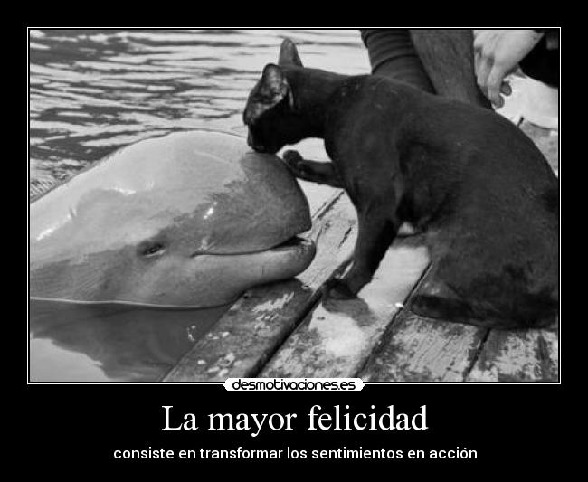 La mayor felicidad - consiste en transformar los sentimientos en acción